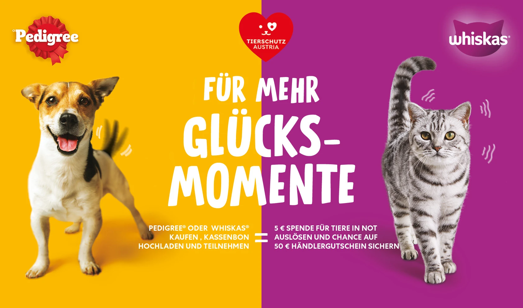 Tierschutz Austria – Für mehr Glücksmomente