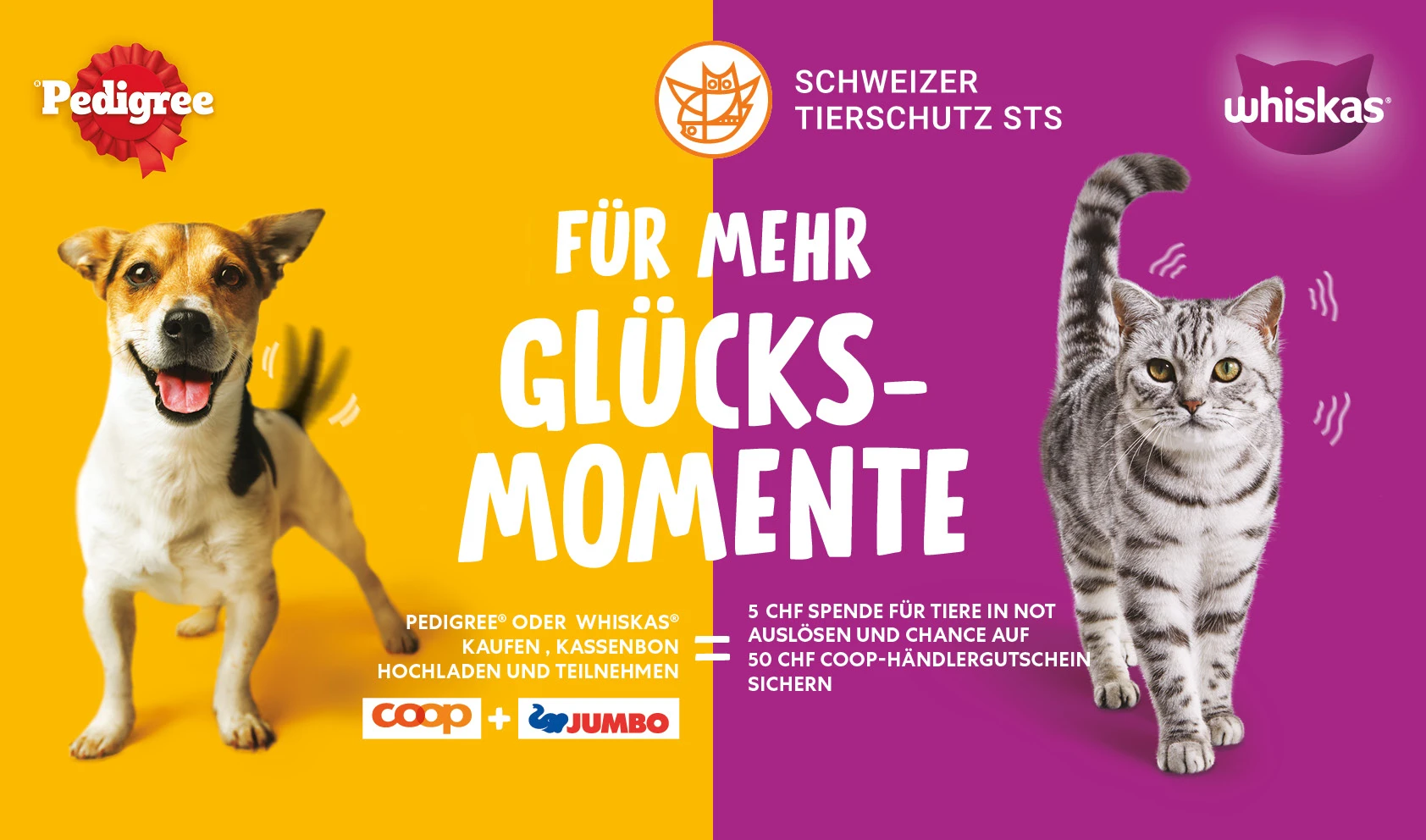 Schweizer Tierschutz STS – Für mehr Glücksmomente