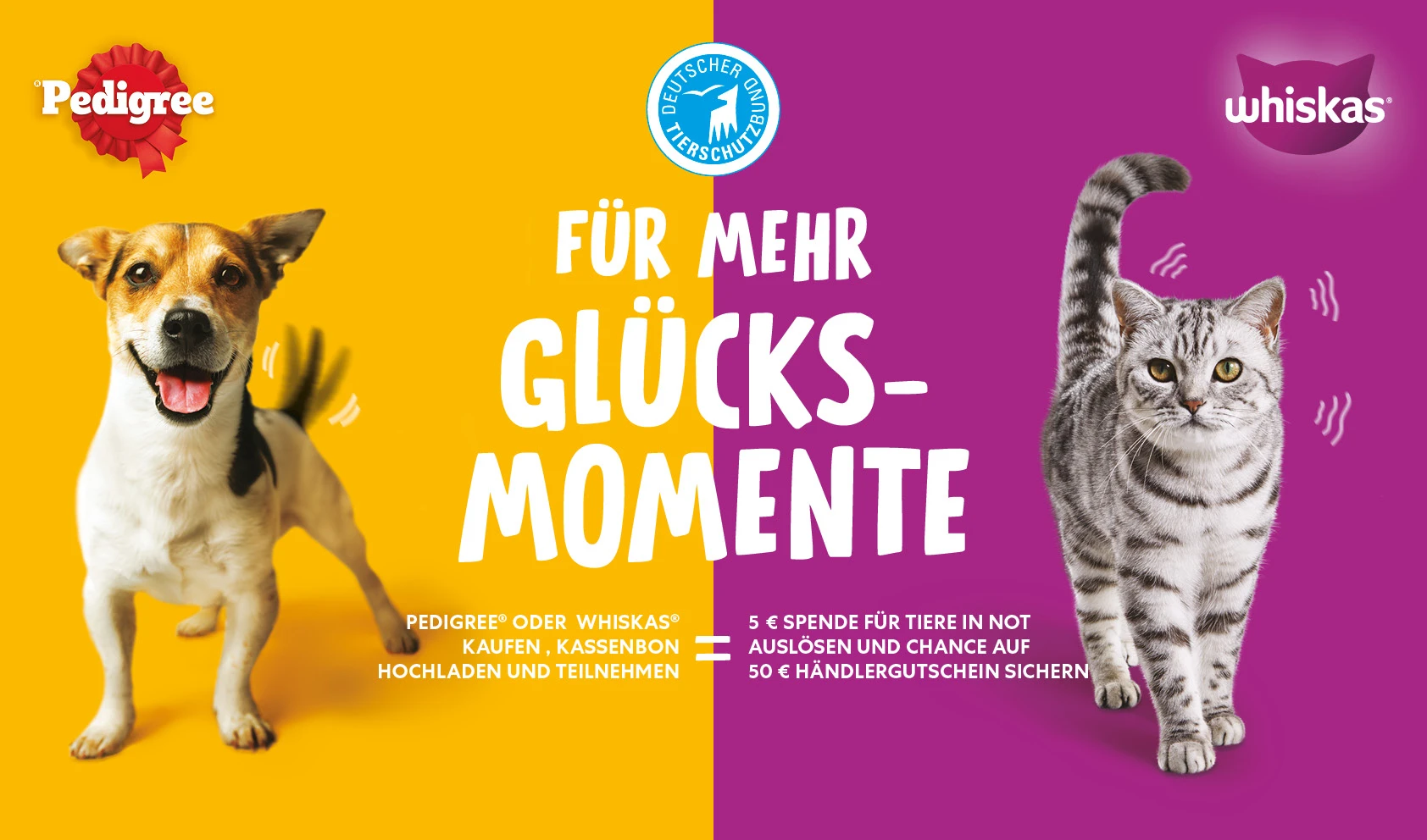 Deutscher Tierschutzbund – Für mehr Glücksmomente