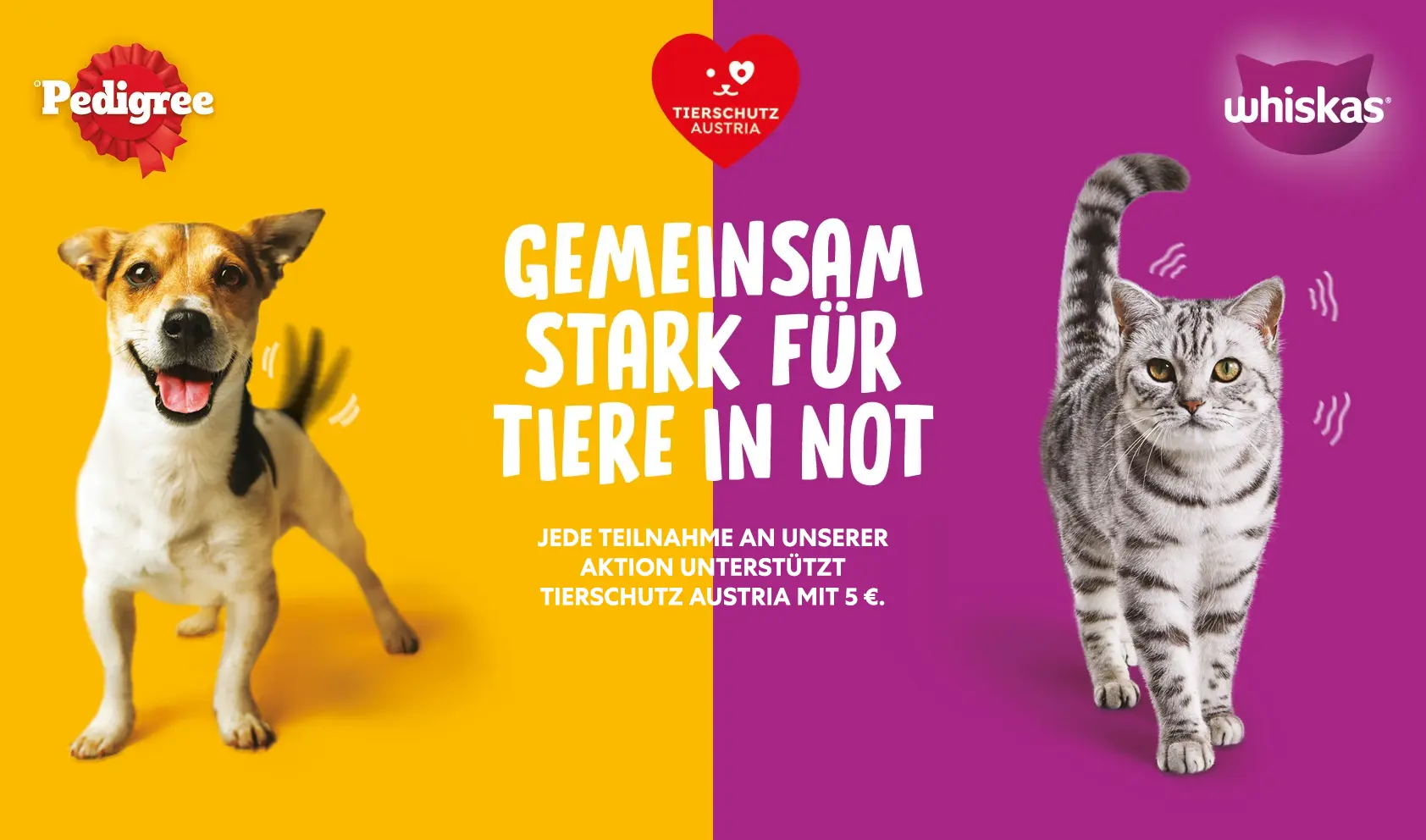 Tierschutz Austria – Gemeinsam stark für Tiere in Not