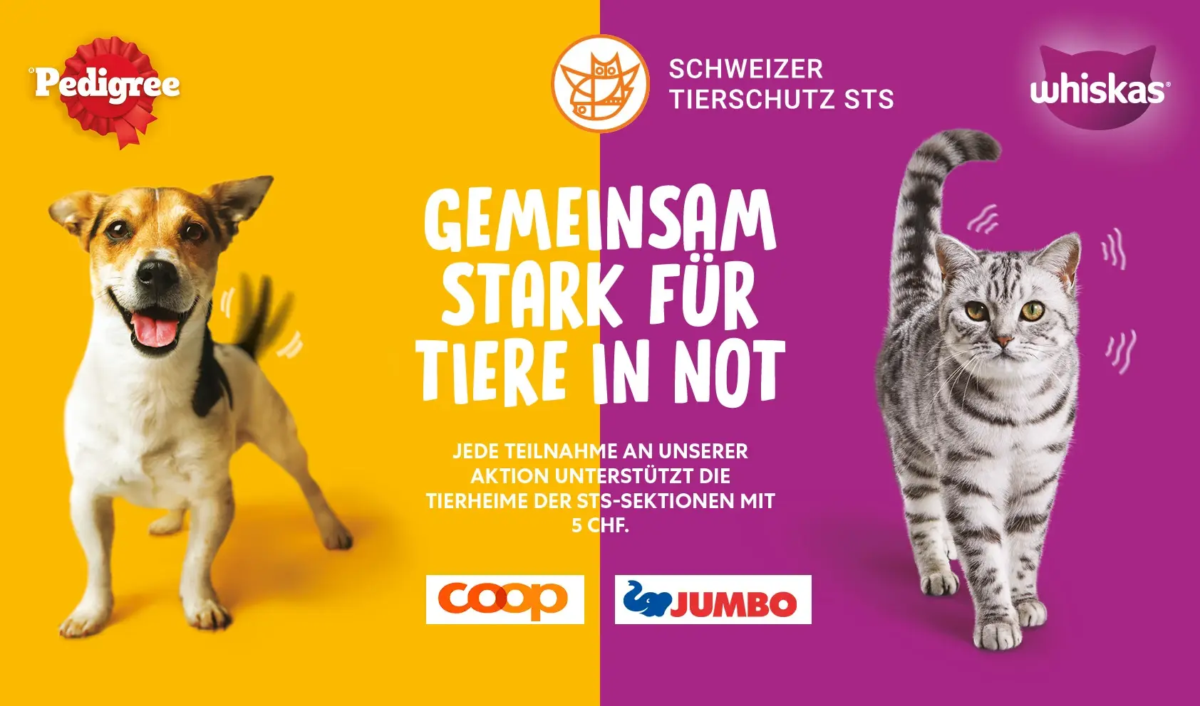 Schweizer Tierschutz STS – Gemeinsam stark für Tiere in Not